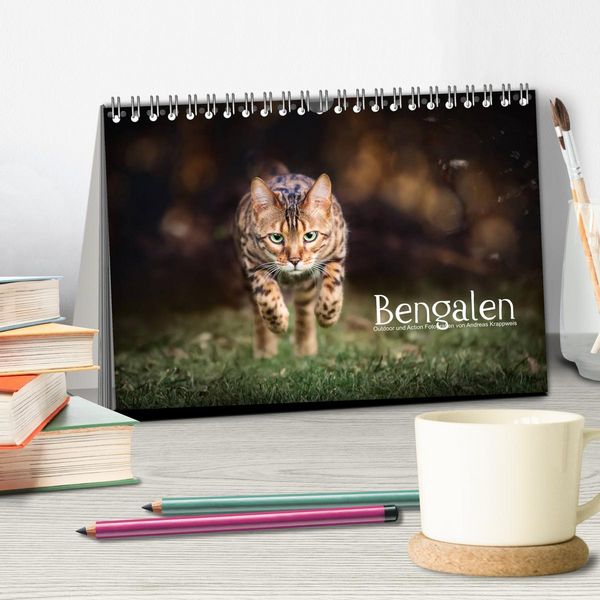 Produktbild: Bengalen Outdoor und Action (Tischkalender 2026 DIN A5 quer), CALVENDO Monatskalender