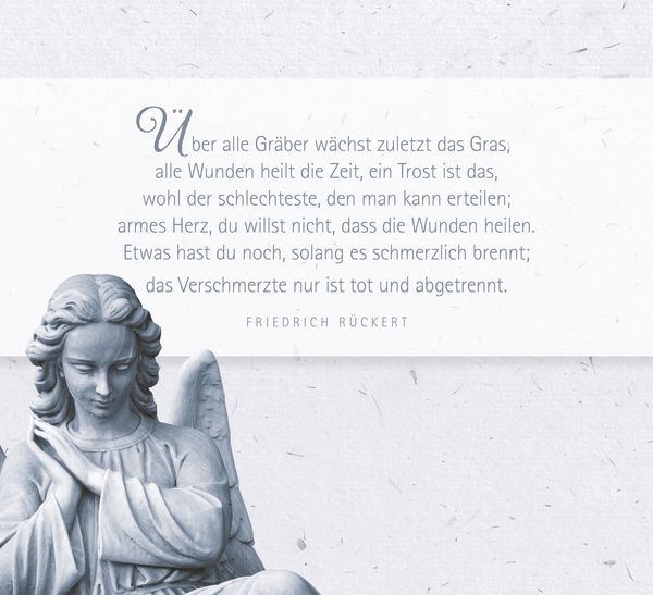 Produktbild: Sanft nur heilt die Zeit