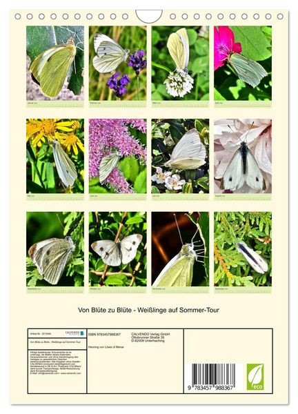 Produktbild: Von Bl&uuml;te zu Bl&uuml;te - Wei&szlig;linge auf Sommer-Tour (Wandkalender 2026 DIN A4 hoch), CALVENDO Monatskalender
