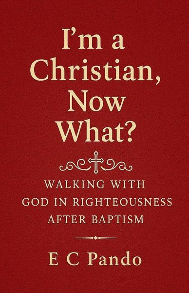 Produktbild: I'm A Christian, Now What?