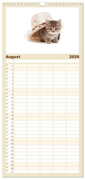 Produktbild: Familienplaner 2026 - Katzenbabys mit 5 Spalten (Wandkalender, 21 x 45 cm) CALVENDO
