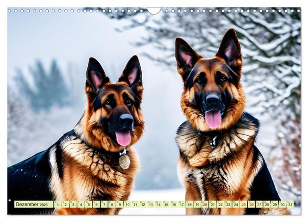 Produktbild: Deutscher Sch&auml;ferhund - Inbegriff der Treue (Wandkalender 2026 DIN A3 quer), CALVENDO Monatskalender