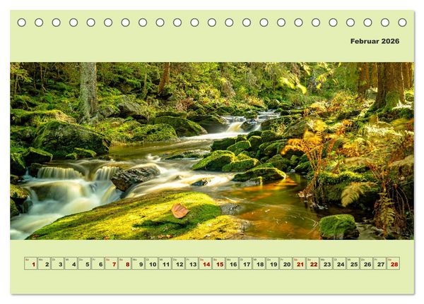 Produktbild: Die schwarze Pockau im Herbstgewand (Tischkalender 2026 DIN A5 quer), CALVENDO Monatskalender