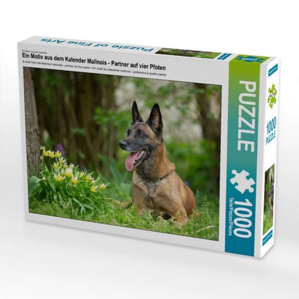 CALVENDO Puzzle Ein Motiv aus dem Kalender Malinois - Partner auf vier Pfoten | 1000 Teile Lege-Größe 64x48cm Foto-Puzzle für glückliche Stunden