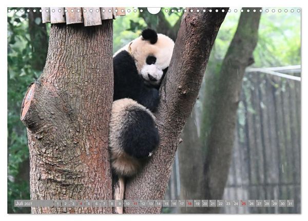 Produktbild: Erlebnis China (Wandkalender 2027 DIN A3 quer), CALVENDO Monatskalender