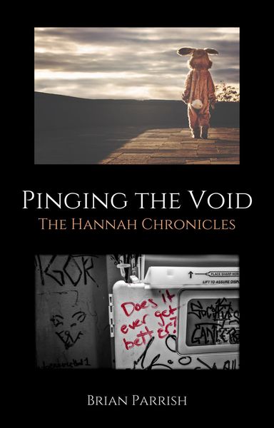 Produktbild: Pinging the Void: The Hannah Chronicles