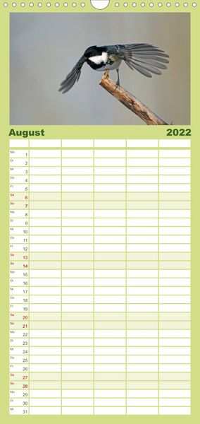 Produktbild: Familienplaner Weltnaturerbe Hainich (Wandkalender 2022 , 21 cm x 45 cm, hoch)