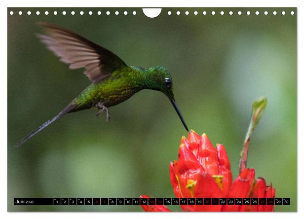 Produktbild: Traumwelt Ecuador (Wandkalender 2026 DIN A4 quer), CALVENDO Monatskalender