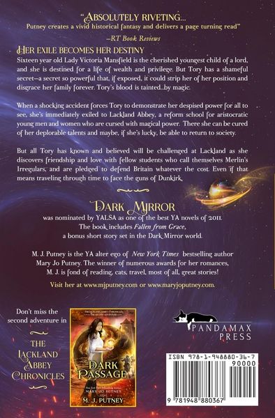 Produktbild: Dark Mirror