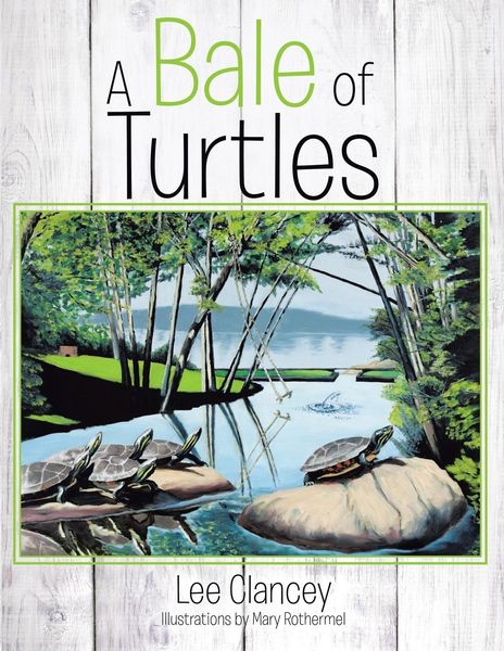 Produktbild: A Bale of Turtles