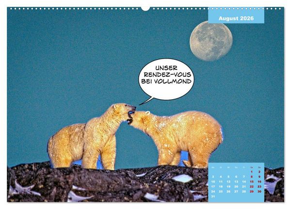 Produktbild: Lustige Eisb&auml;ren (hochwertiger Premium Wandkalender 2026 DIN A2 quer), Kunstdruck in Hochglanz