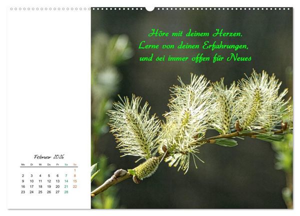 Produktbild: Innehalten in der Natur ... mit Weisheiten und Sprichworten der Indianer (hochwertiger Premium Wandkalender 2026 DIN A2 quer), Kunstdruck in Hochglanz