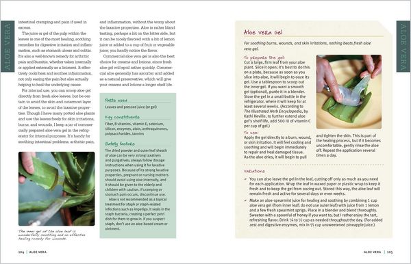 Produktbild: Rosemary Gladstar's Medicinal Herbs: A Beginner's Guide