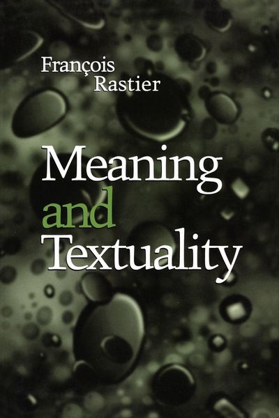 Produktbild: Meaning and Textuality
