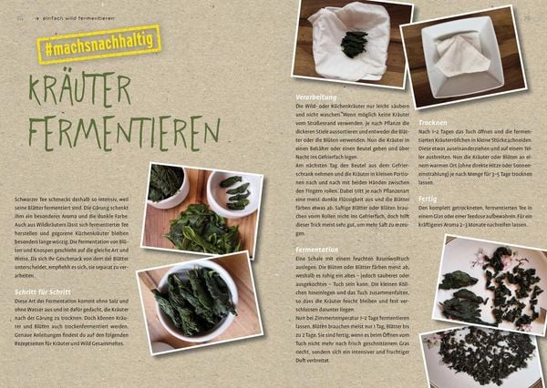 Produktbild: Fermentier' doch mal!