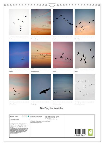Produktbild: Der Flug der Kraniche (Wandkalender 2026 DIN A3 hoch), CALVENDO Monatskalender