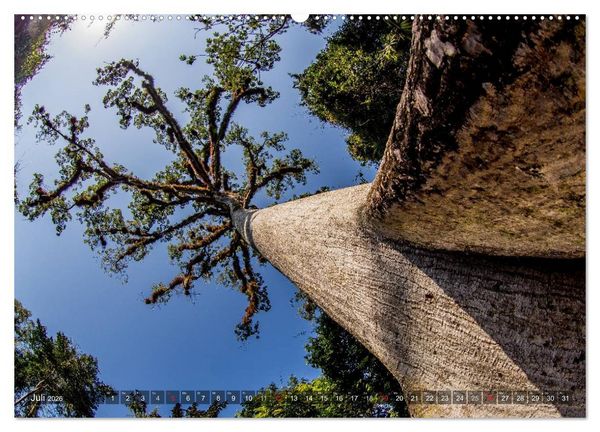 Produktbild: Belize - Guatemala (Wandkalender 2026 DIN A2 quer), CALVENDO Monatskalender