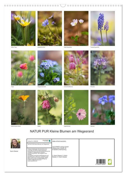 Produktbild: NATUR PUR Kleine Blumen am Wegesrand (Wandkalender 2026 DIN A2 hoch), CALVENDO Monatskalender