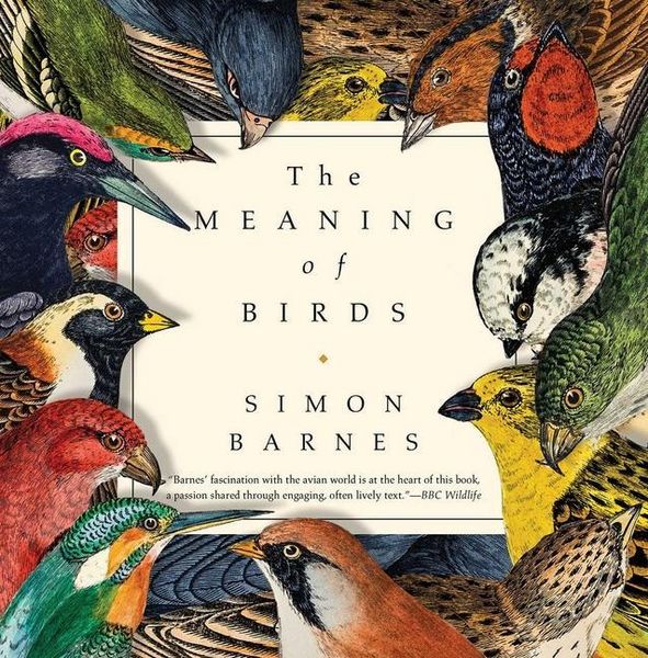 Produktbild: The Meaning of Birds