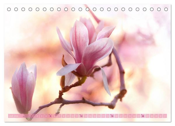 Produktbild: Natursch&ouml;nheiten - mit Bl&uuml;ten und Pflanzen durch das Jahr (Tischkalender 2026 DIN A5 quer), CALVENDO Monatskalender