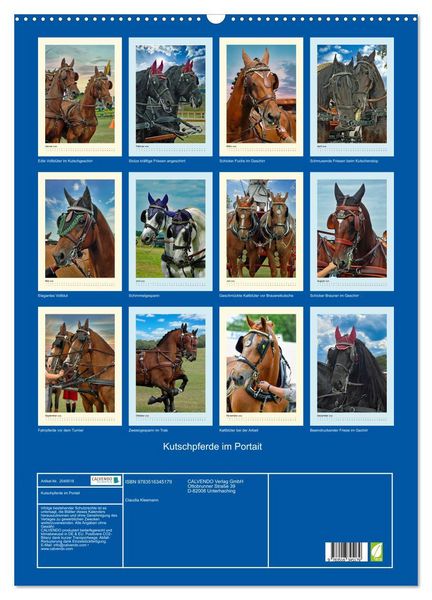 Produktbild: Kutschpferde im Portait (Wandkalender 2026 DIN A2 hoch), CALVENDO Monatskalender