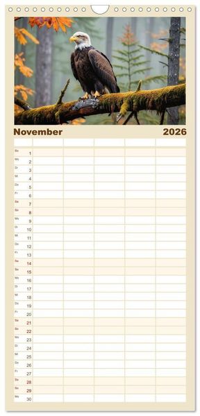 Produktbild: Familienplaner 2026 - Majest&auml;tische Wei&szlig;kopfseeadler - Der K&ouml;nig der L&uuml;fte mit 5 Spalten (Wandkalender, 21 x 45 cm) CALVENDO
