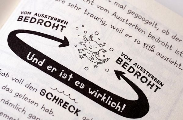 Produktbild: Mein Lotta-Leben (21). Sei kein Trottel, Axolotl