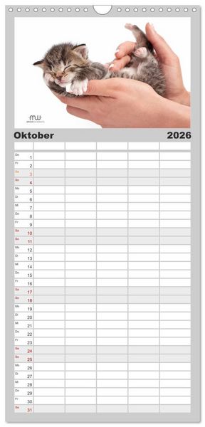 Produktbild: Familienplaner 2026 - Zauberhafte K&auml;tzchen mit 5 Spalten (Wandkalender, 21 x 45 cm) CALVENDO