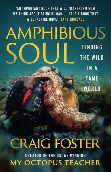 Produktbild: Amphibious Soul
