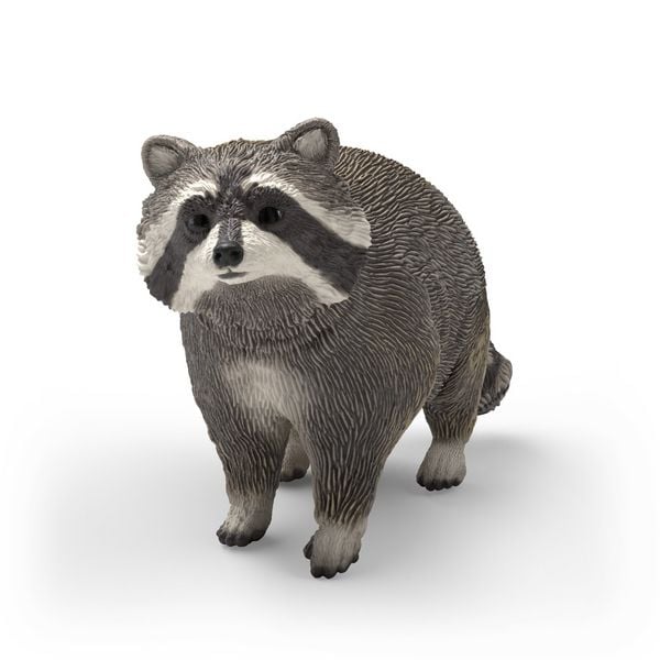 schleich 14937 - Wild Life, Waschbär, Tierfigur