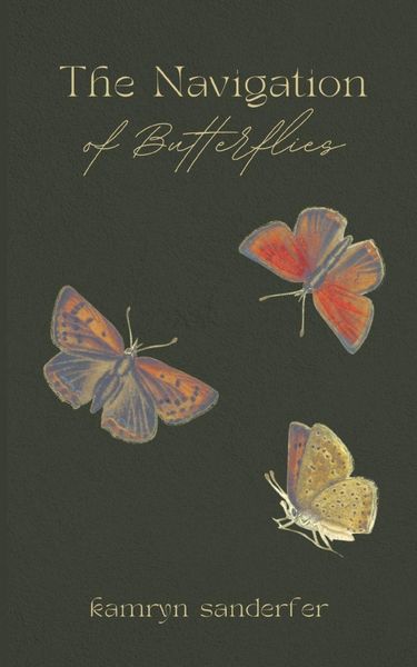 Produktbild: The Navigation of Butterflies
