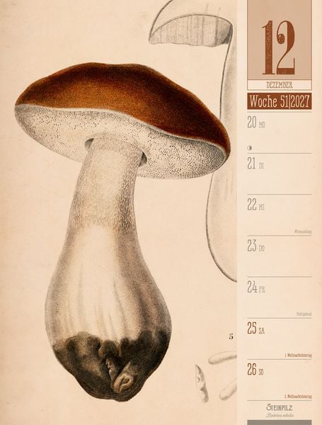 Produktbild: Culinarium Wochenplaner Kalender 2027 | K&uuml;che, Kr&auml;uter, Kurioses