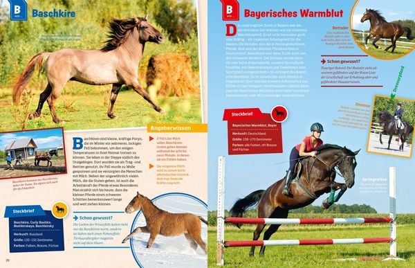 Produktbild: WAS IST WAS Pferde und Ponys