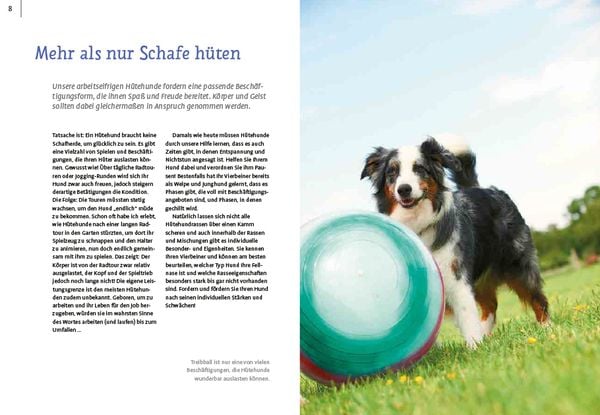 Produktbild: Spiele und Action f&uuml;r ausgeglichene H&uuml;tehunde