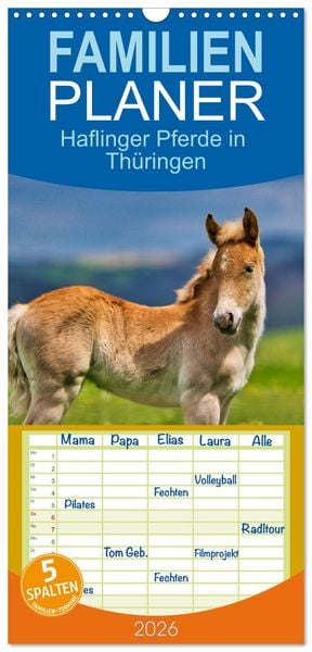 Familienplaner 2026 - Haflinger Pferde in Thüringen mit 5 Spalten (Wandkalender, 21 x 45 cm) CALVENDO