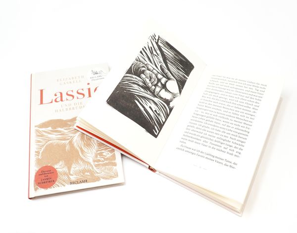 Produktbild: Lassie und die Halbbr&uuml;der