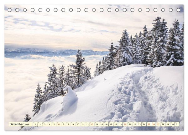 Produktbild: Mystische W&auml;lder - Zauber der Natur (Tischkalender 2026 DIN A5 quer), CALVENDO Monatskalender