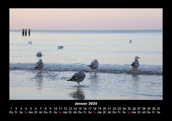 Produktbild: Meereslandschaft 2026 Fotokalender DIN A3