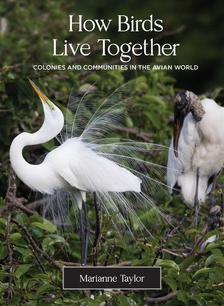 Produktbild: How Birds Live Together