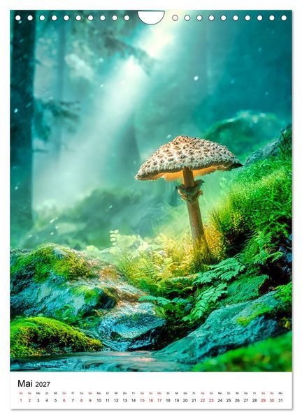 Produktbild: Pilzzeit - Leben auf dem Waldboden (Wandkalender 2027 DIN A4 hoch), CALVENDO Monatskalender