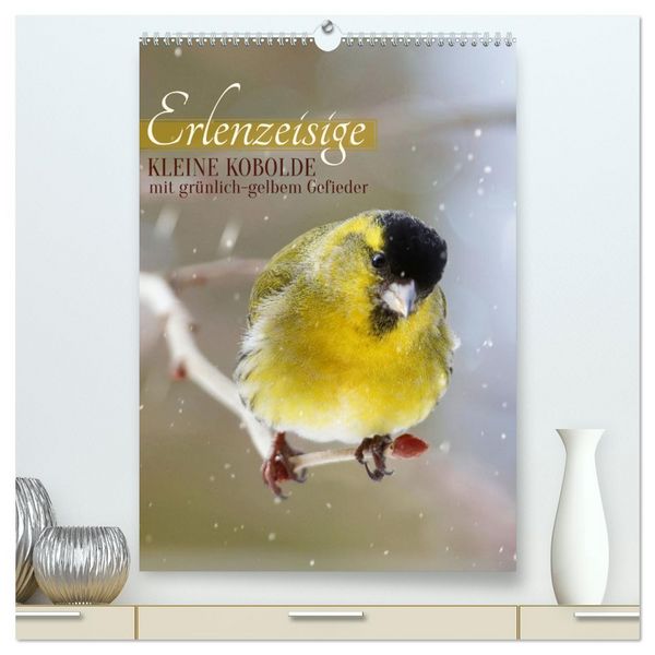 Produktbild: Erlenzeisige, kleine Kobolde (hochwertiger Premium Wandkalender 2026 DIN A2 hoch), Kunstdruck in Hochglanz