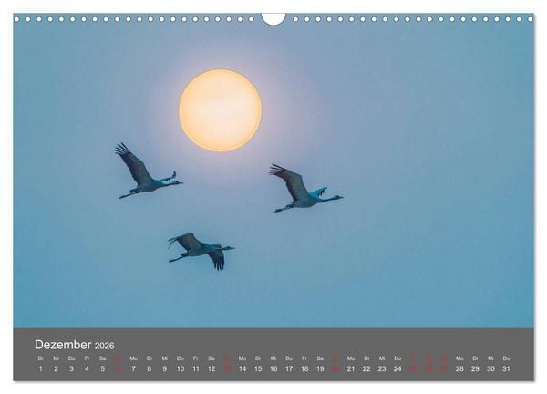 Produktbild: Sch&ouml;nes Meck-Pomm (Wandkalender 2026 DIN A3 quer), CALVENDO Monatskalender