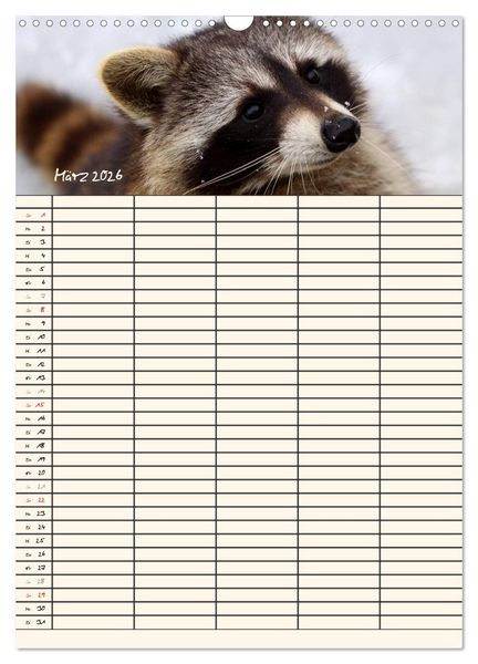 Produktbild: Waschb&auml;ren Familienplaner (Wandkalender 2026 DIN A3 hoch), CALVENDO Monatskalender