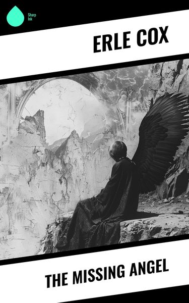 Produktbild: The Missing Angel