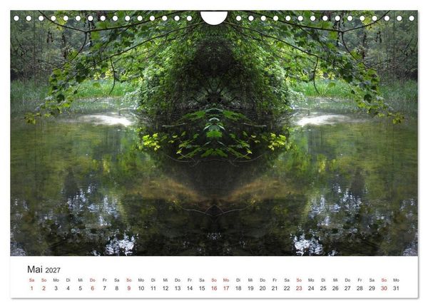 Produktbild: Spiegelwelten - Natur anders sehen (Wandkalender 2027 DIN A4 quer), CALVENDO Monatskalender