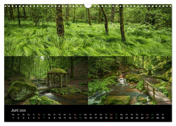Produktbild: Atemberaubende und Emotionale Landschaften in der Pfalz (Wandkalender 2026 DIN A3 quer), CALVENDO Monatskalender
