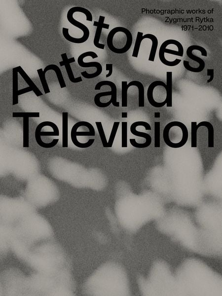 Produktbild: Zygmunt Rytka: Stones, Ants, and Television