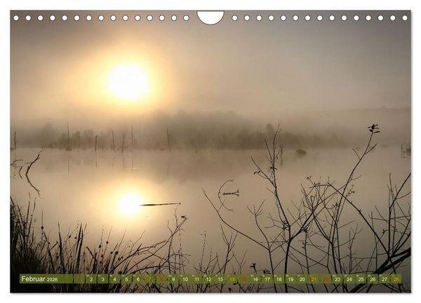 Produktbild: Das Regenmoor auf der Baar (Wandkalender 2026 DIN A4 quer), CALVENDO Monatskalender