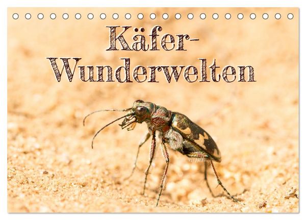 Produktbild: K&auml;fer-Wunderwelten (Tischkalender 2026 DIN A5 quer), CALVENDO Monatskalender