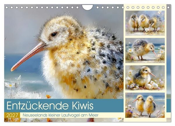 Produktbild: Entz&uuml;ckende Kiwis. Neuseelands kleiner Laufvogel am Meer (Wandkalender 2027 DIN A4 quer), CALVENDO Monatskalender